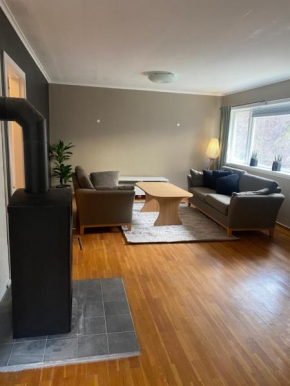 Spacious apartment close to the city center, good parking